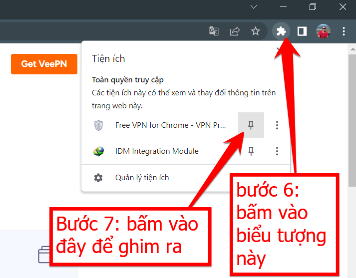 Cài Free VPN VeePN vào Chrome